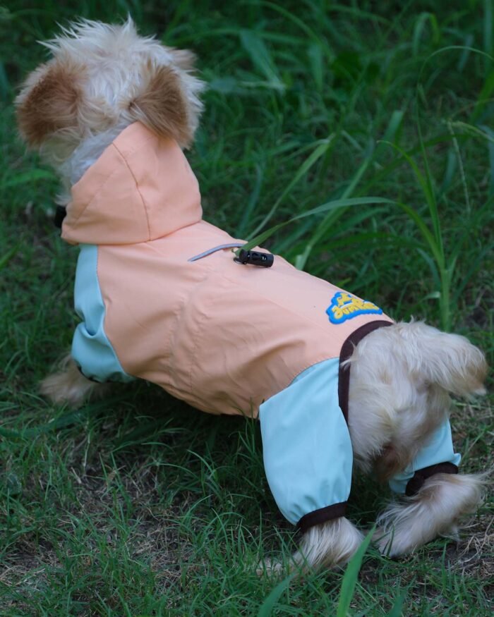 Four-Legged Dog Raincoat with Fit - Waterproof and Windproof Protection