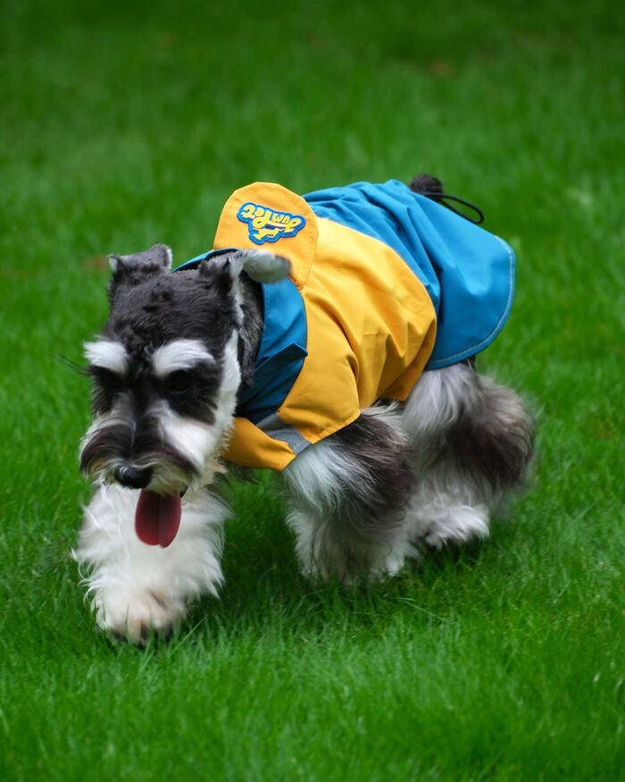 PawShield Color-Block Dog Raincoat