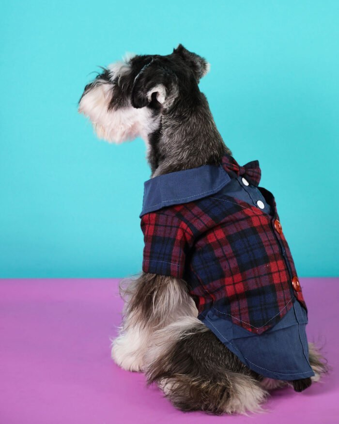 Trendy plaid bow tie dog vest for formal occasions