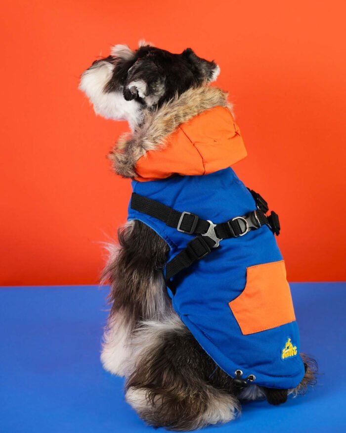 Adventure Dog Coat with Hood