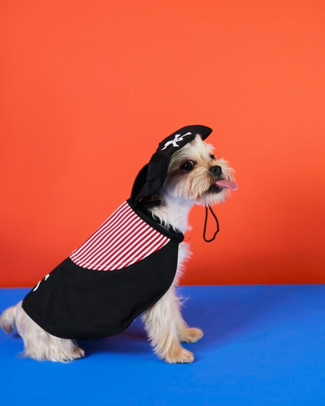 Pirate Captain Pet Costume with Skull Design