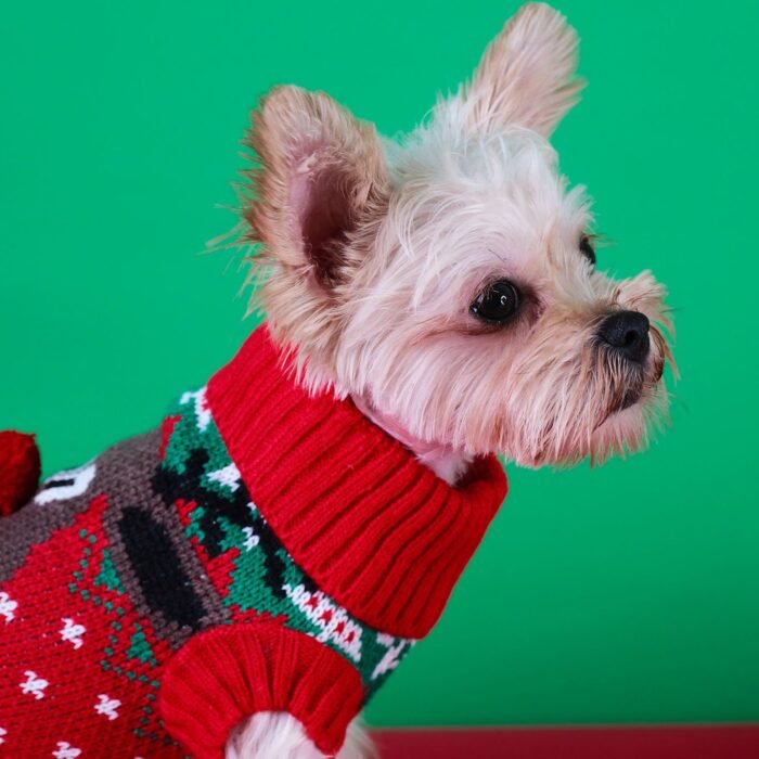 Jumpet Festive Christmas Dog Sweater – Cozy, stylish, and perfect for the holiday season.