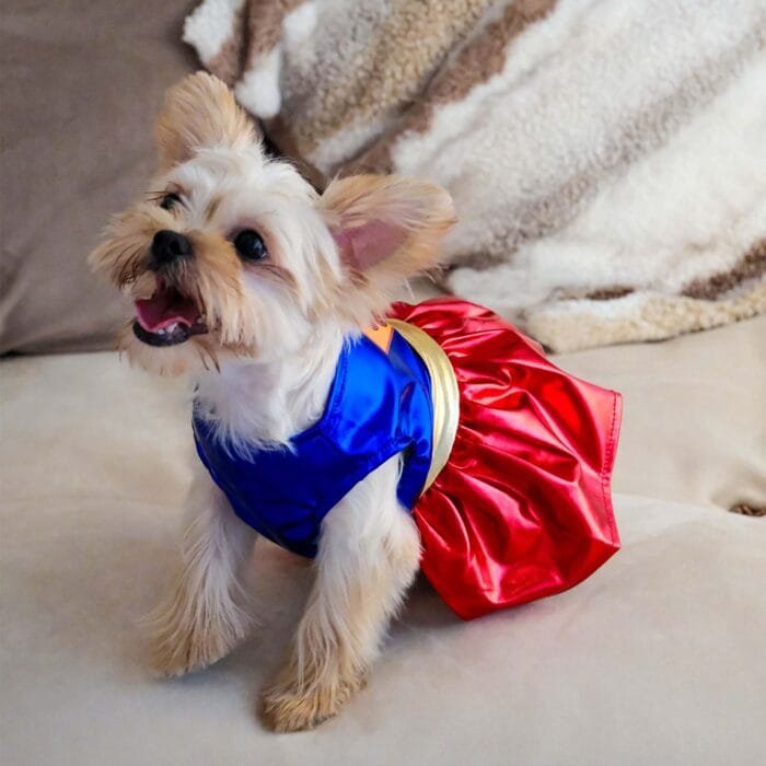 Thor Pet Costume – Bold cape and hammer details for a superhero vibe.