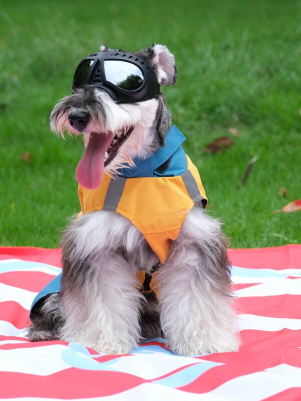 High-quality waterproof dog goggles with UV protection