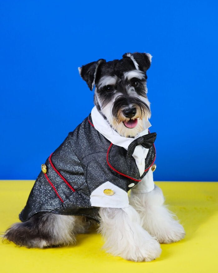 Sophisticated Dog Suit with Bow Tie for Weddings