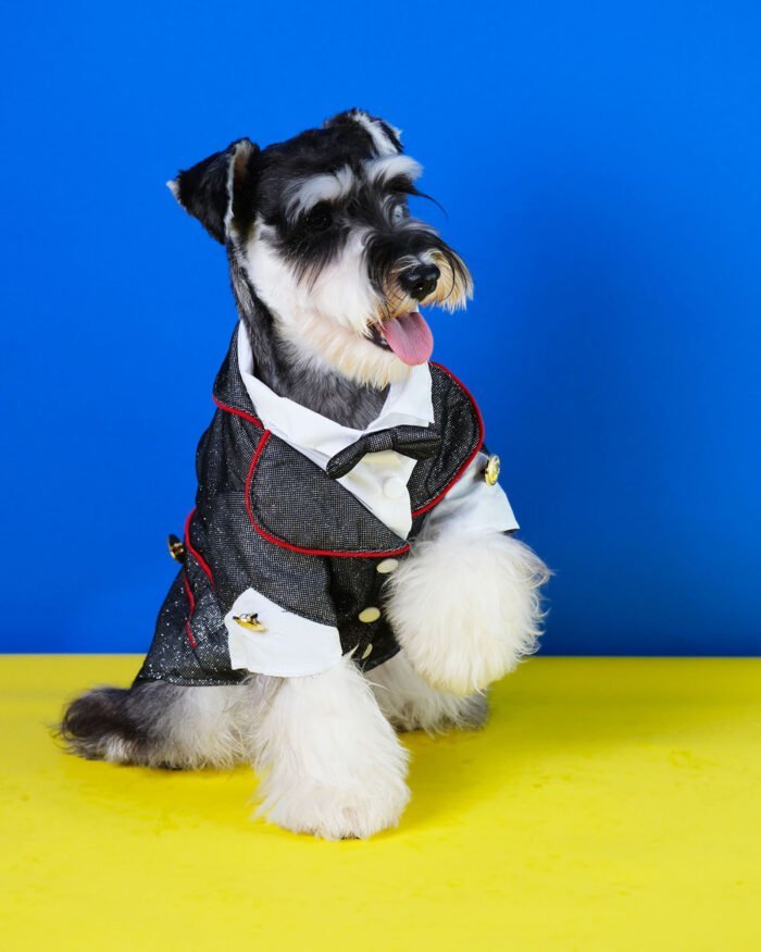 Luxurious Dog Suit with Bow Tie and Shimmering Fabric