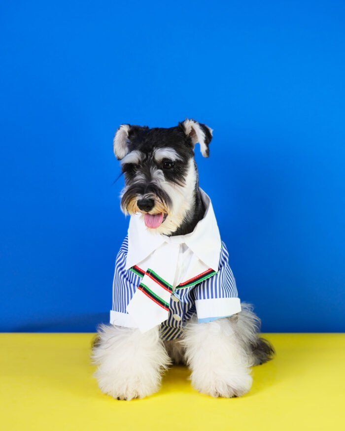 Stylish Striped Pet Suit with Bow Tie