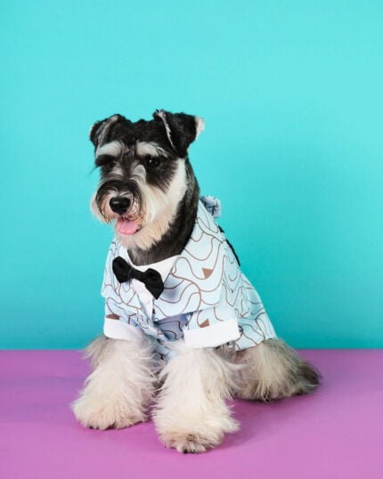 Sky Blue Pet Tuxedo for Dogs with Bow Tie