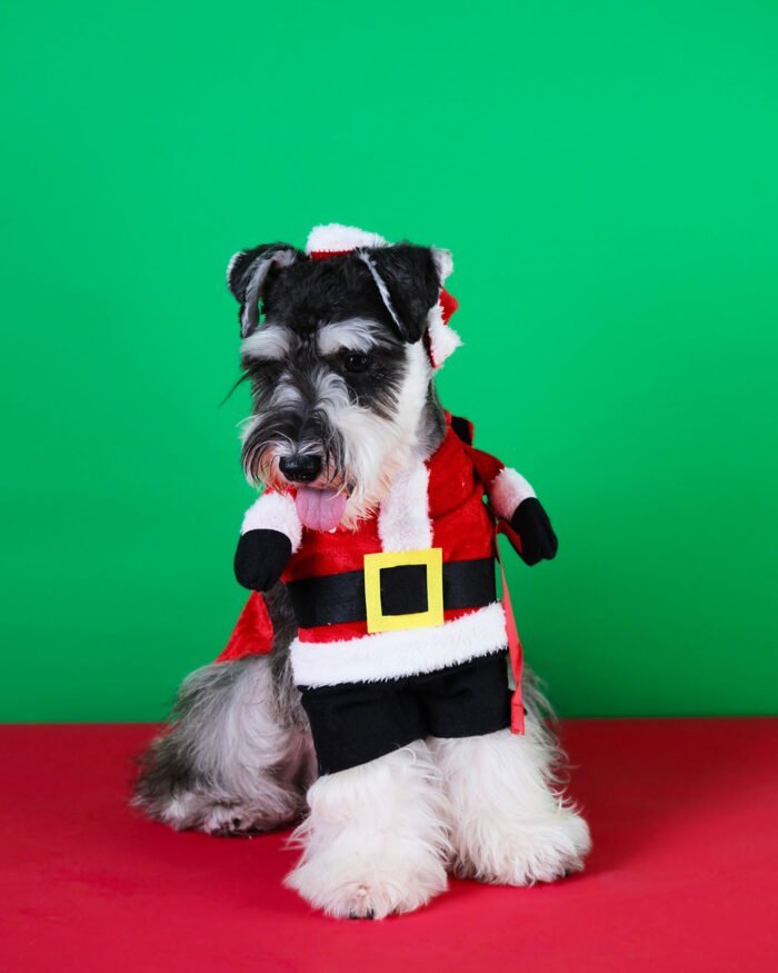 The full Santa Claus costume for pets, showing the red hat, white trim, and cozy design.