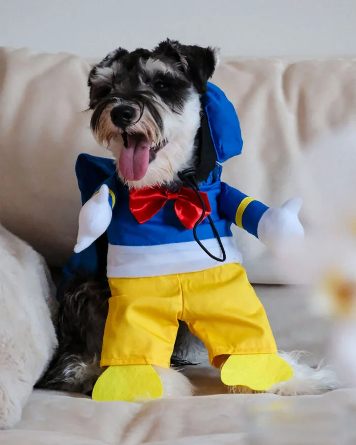 Fun Dog Costume for Themed Parties