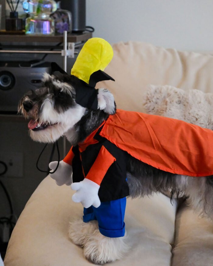 Stylish black vest and white gloves completing the fun Big-Eared Dog Costume.