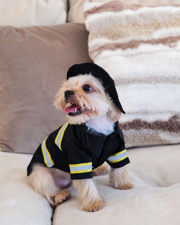 Adjustable elastic hat on Firefighter Pet Costume for a comfortable fit.