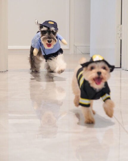 Chest Velcro closure on Firefighter Pet Costume for easy dressing.