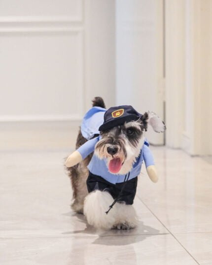 Speedster Courier Pet Costume for Dogs