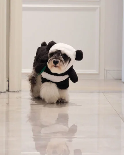Warm and Playful Panda Pet Costume with Velcro Closure and Rear Opening