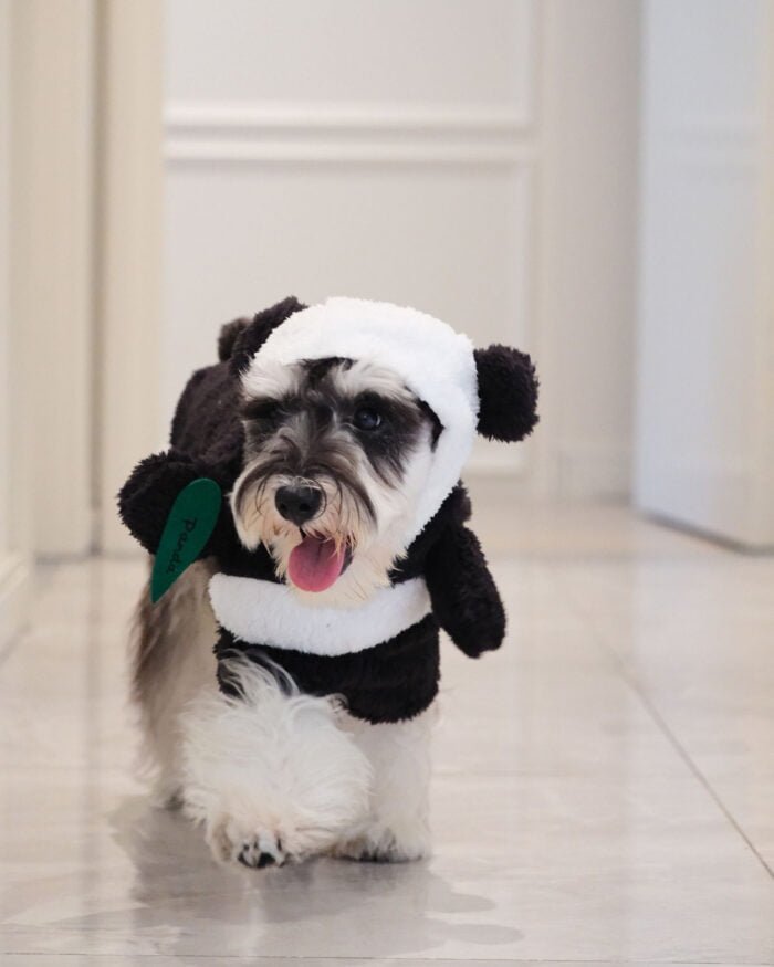 Cute Panda Costume for Pets – Ideal for Winter or Themed Parties