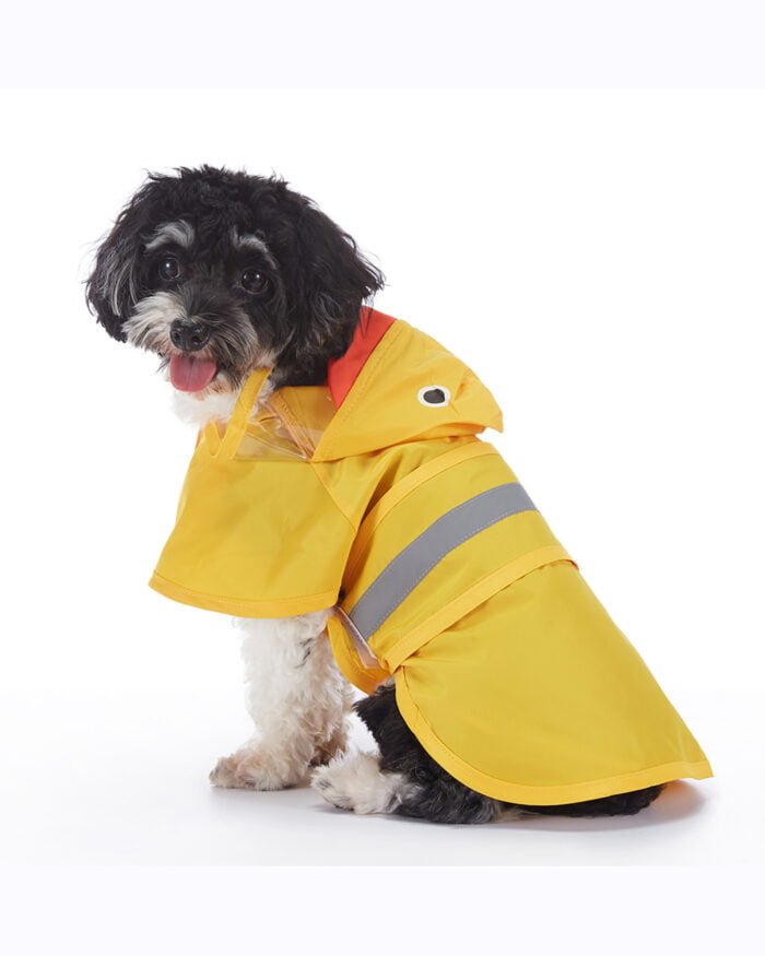 Dog in PawCosmo Cosplay Raincoat with animal theme design