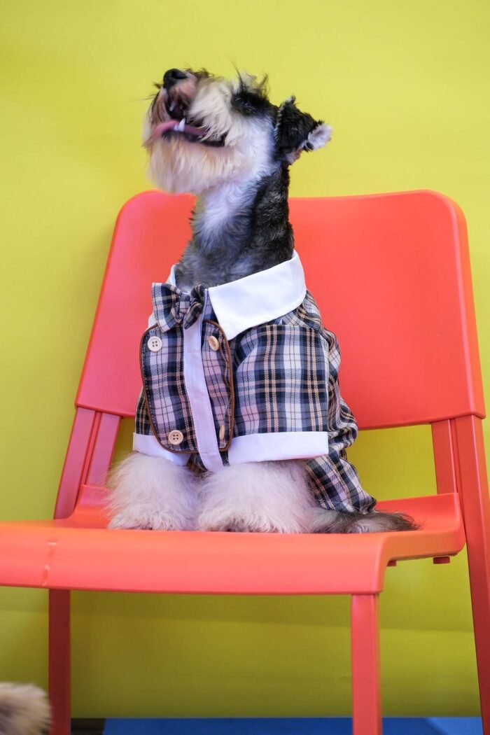 Comfortable Dog Suit with Bow Tie