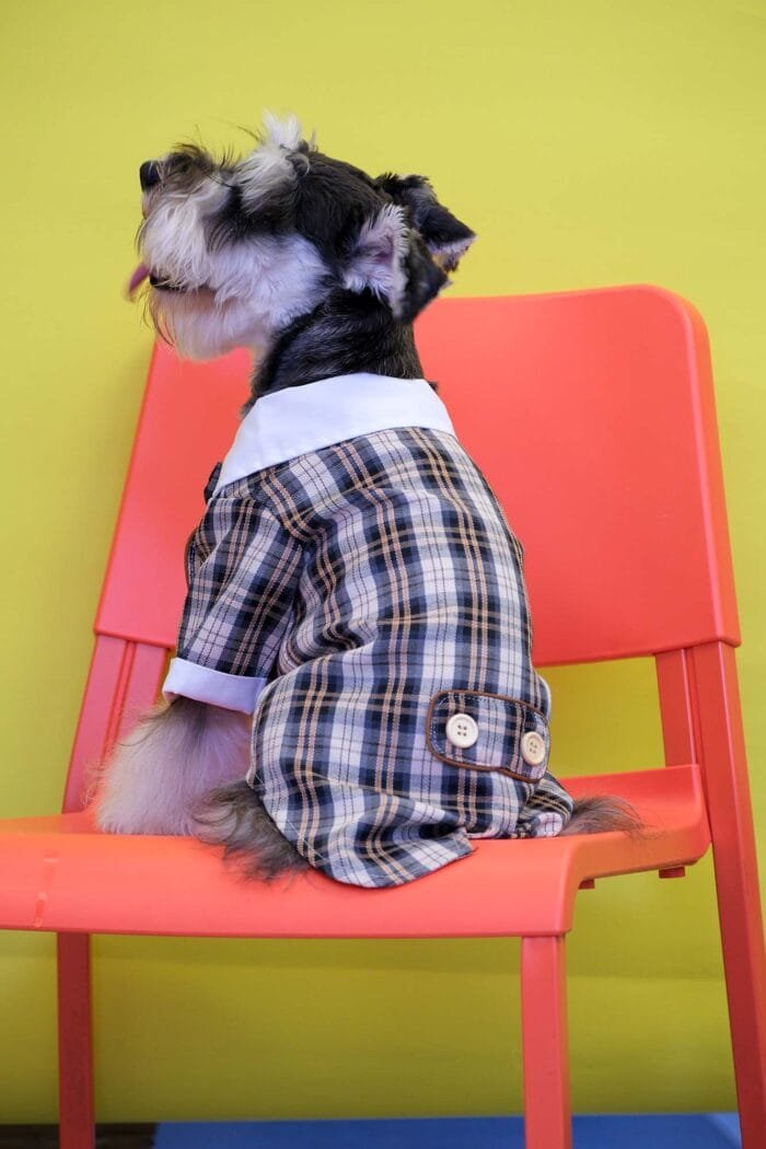 Brown Plaid Dog Suit with Matching Bow Tie