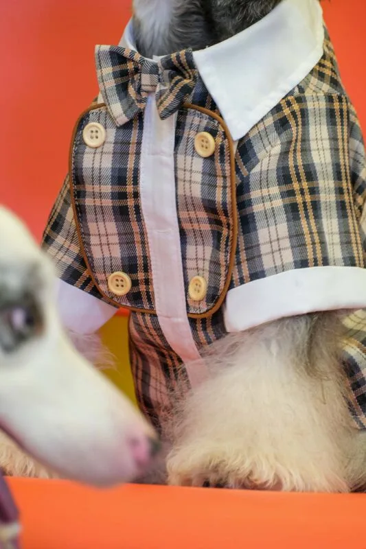 Formal Brown Plaid Dog Suit