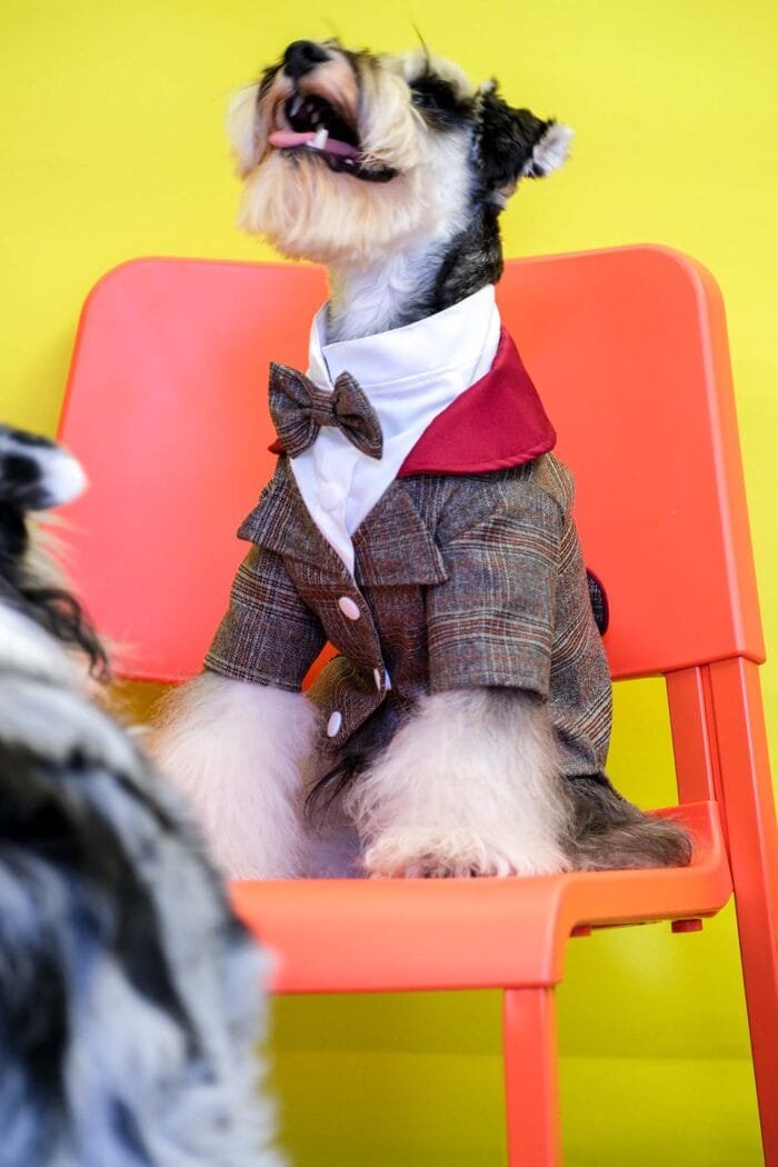 Custom Retro Plaid Pet Suit with Red Lapel