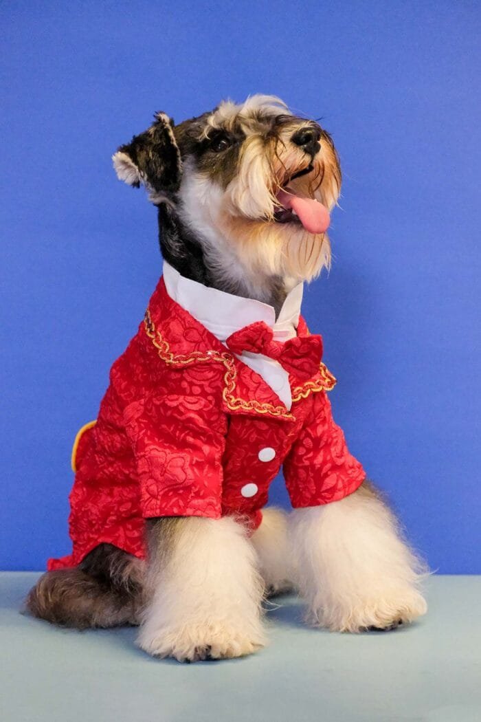 Best Pet Wedding Suit Deals - Elegant Red Suit for Pets